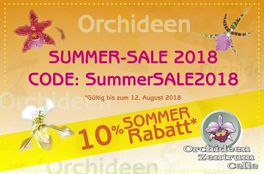Orchideen Summer Sale